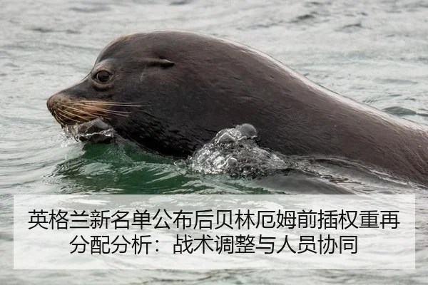 英格兰新名单公布后贝林厄姆前插权重再分配分析：战术调整与人员协同